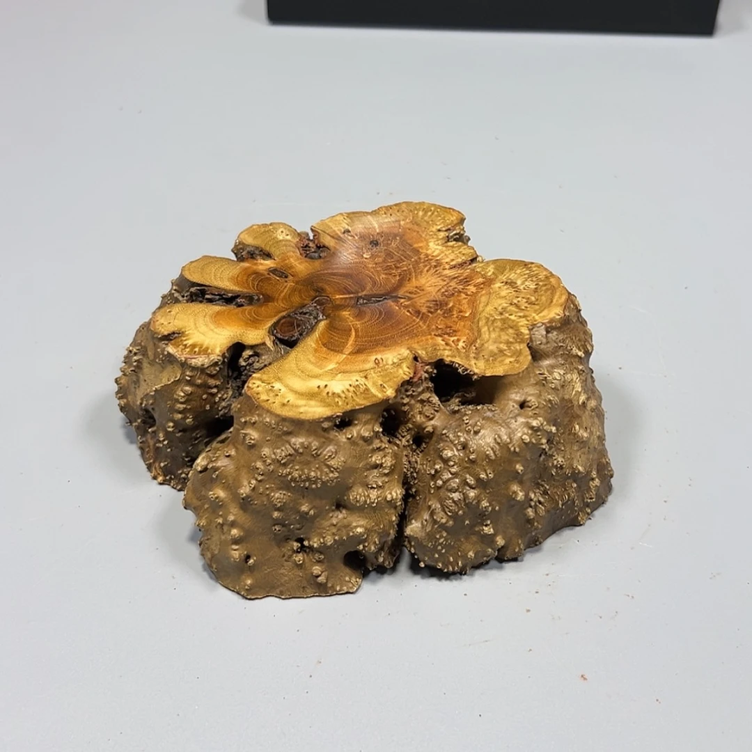 【闪购商品】麻梨疙瘩根雕敬*