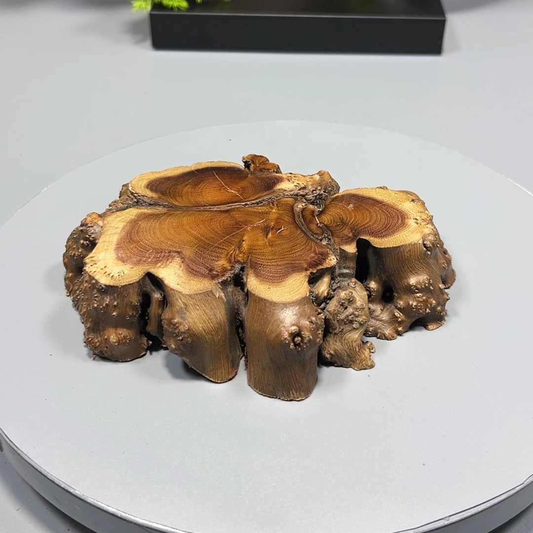 【闪购商品】麻梨疙瘩根雕邹*星