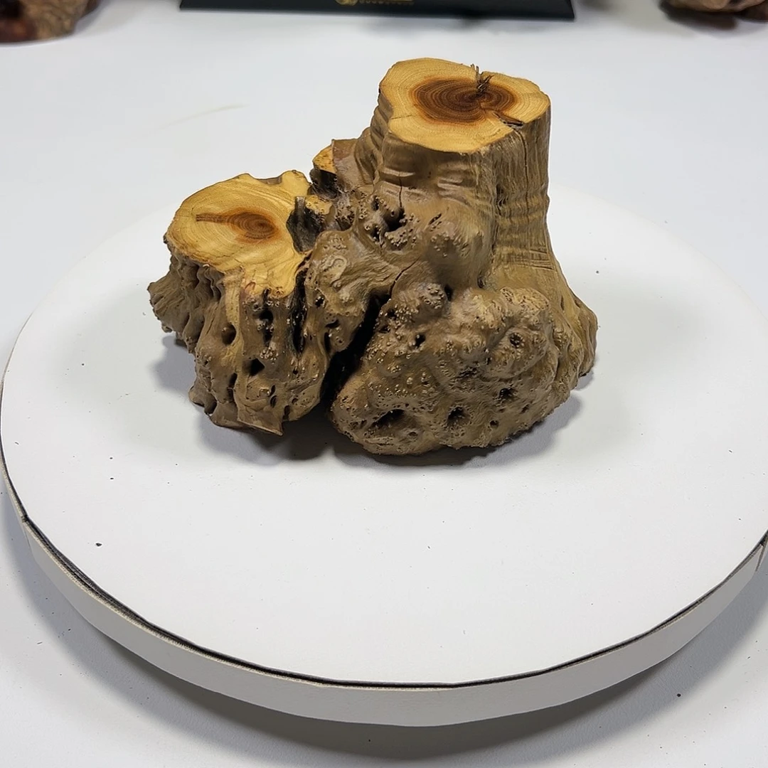 大果紫檀（缅甸花梨）城**民