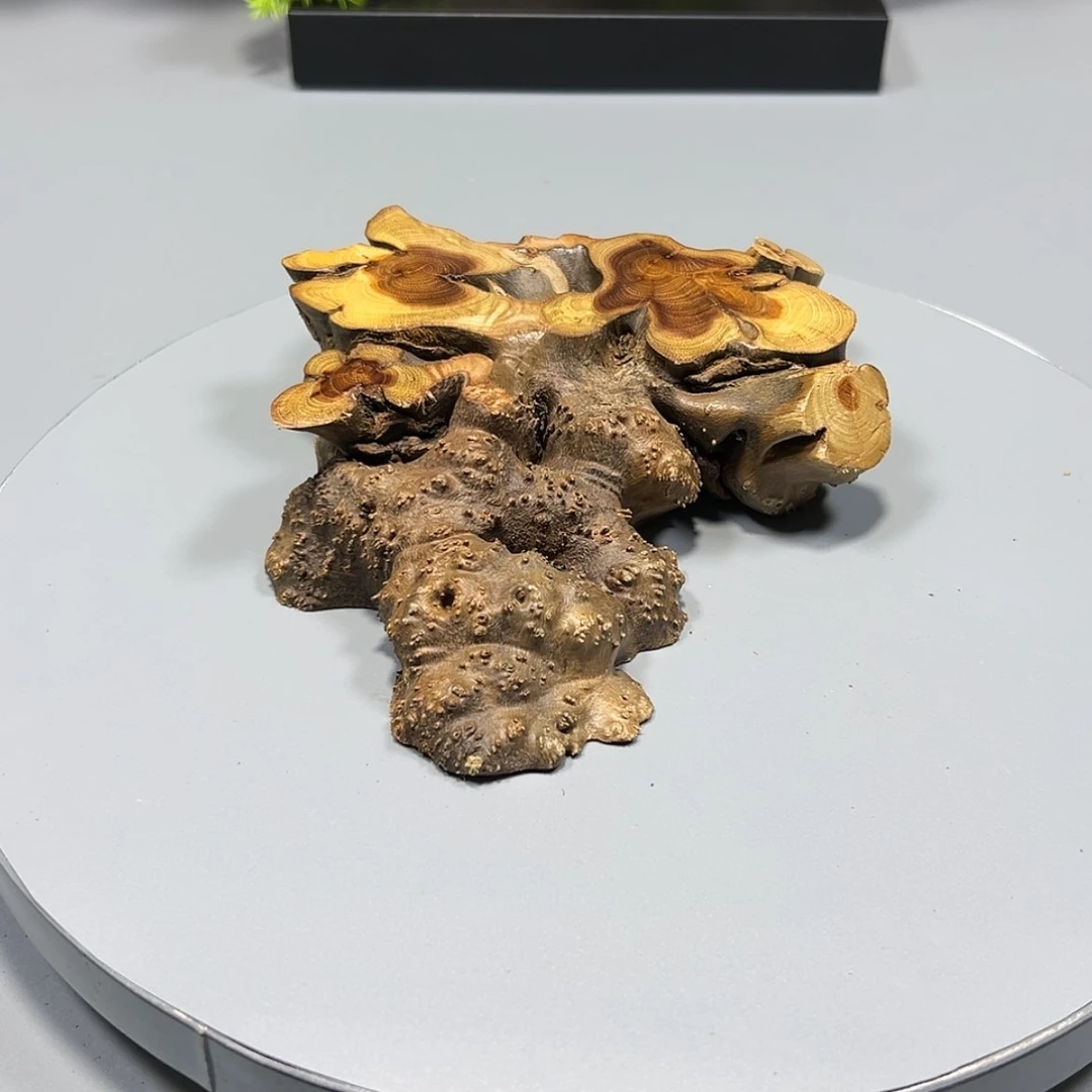 【闪购商品】麻梨疙瘩根雕﹌****﹌