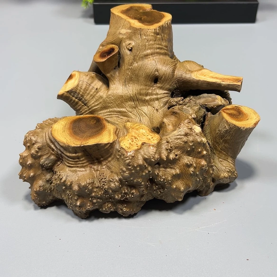 【闪购商品】麻梨疙瘩根雕世****。