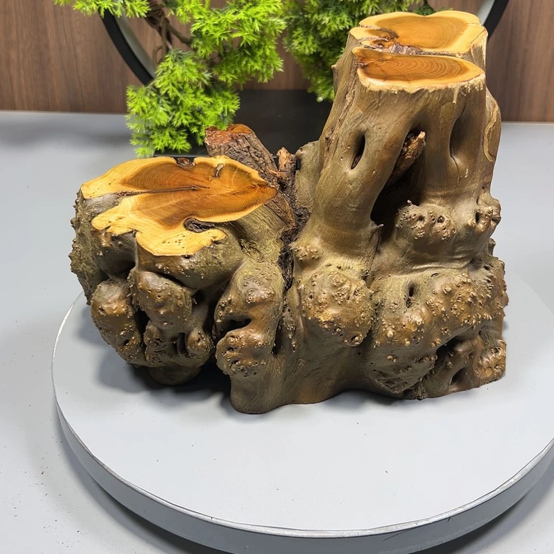 【闪购商品】麻梨疙瘩根雕紫*晶