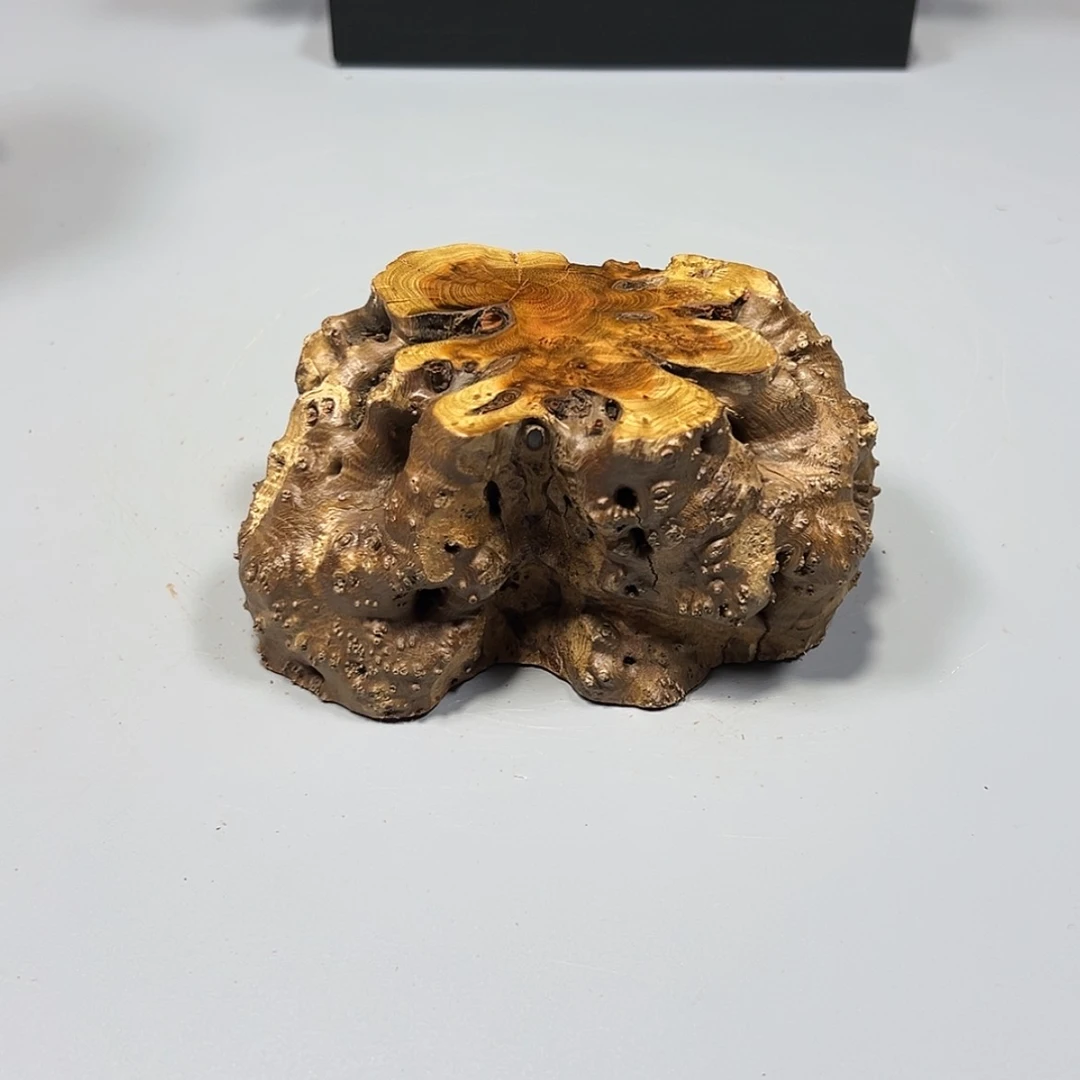 【闪购商品】麻梨疙瘩根雕用****6