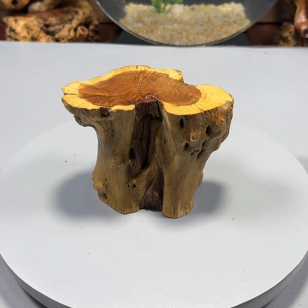 大果紫檀（缅甸花梨）河****常
