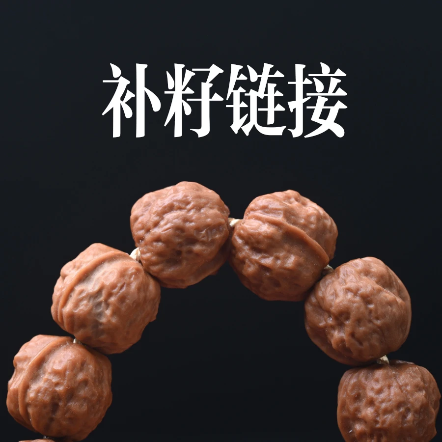 猴头核桃补籽链接