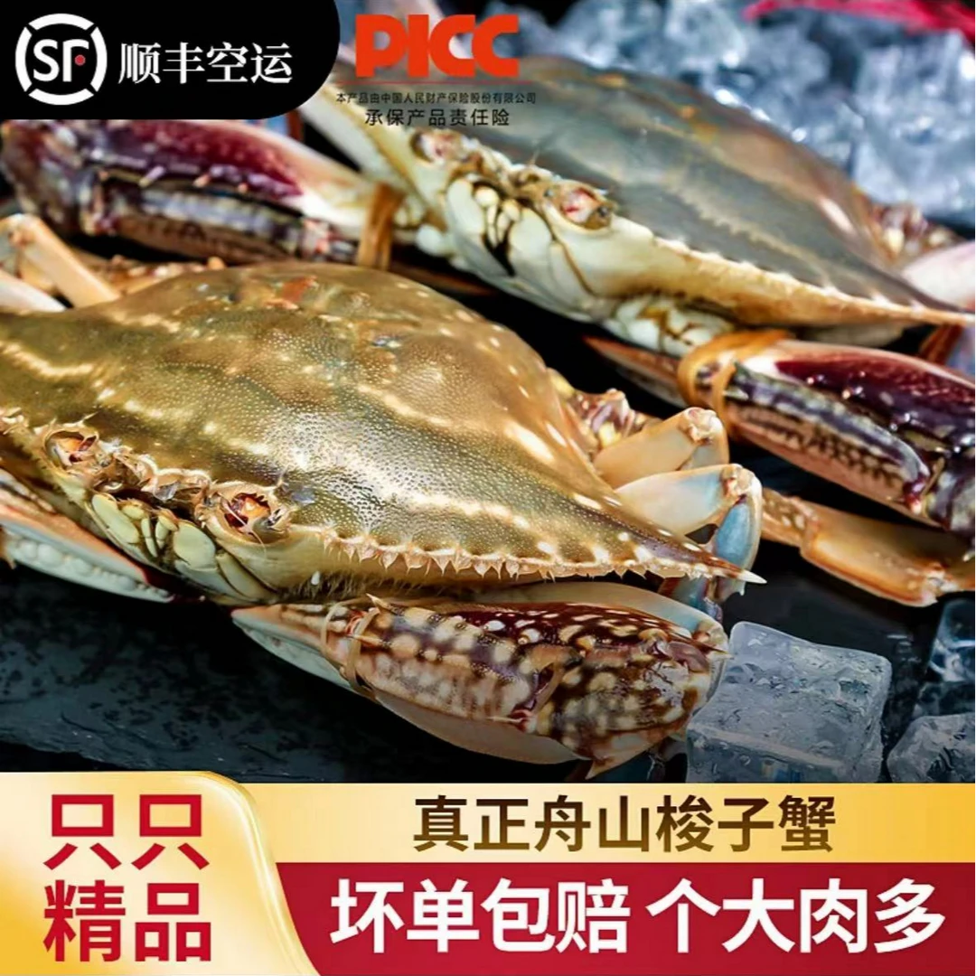 入秋爆品【保鲜不保活】舟山海捕梭子蟹单只6-8两到手3斤顺丰空运