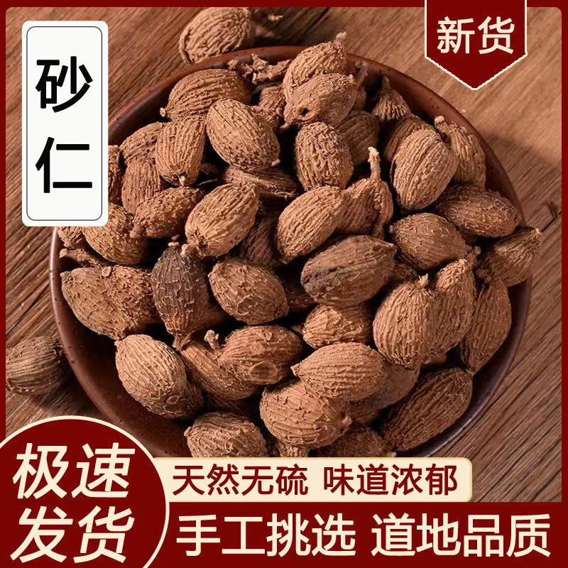 砂仁 精选新货无硫阳春砂仁 毛砂仁砂仁茶根茎养胃卤香料泡水根茎