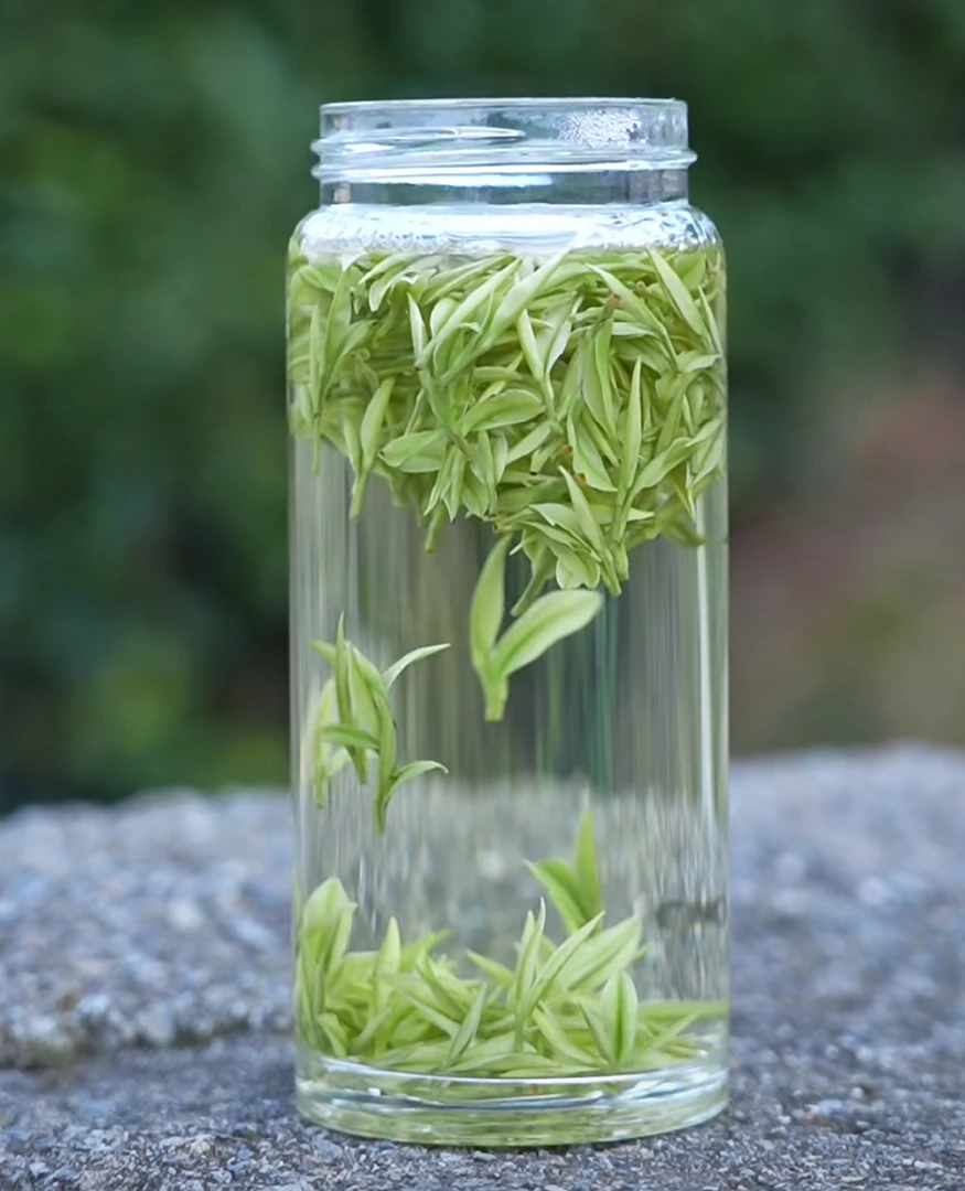 2025年新白茶小嫩芽高山白茶原产地茶叶头采2A.S高山绿茶白茶