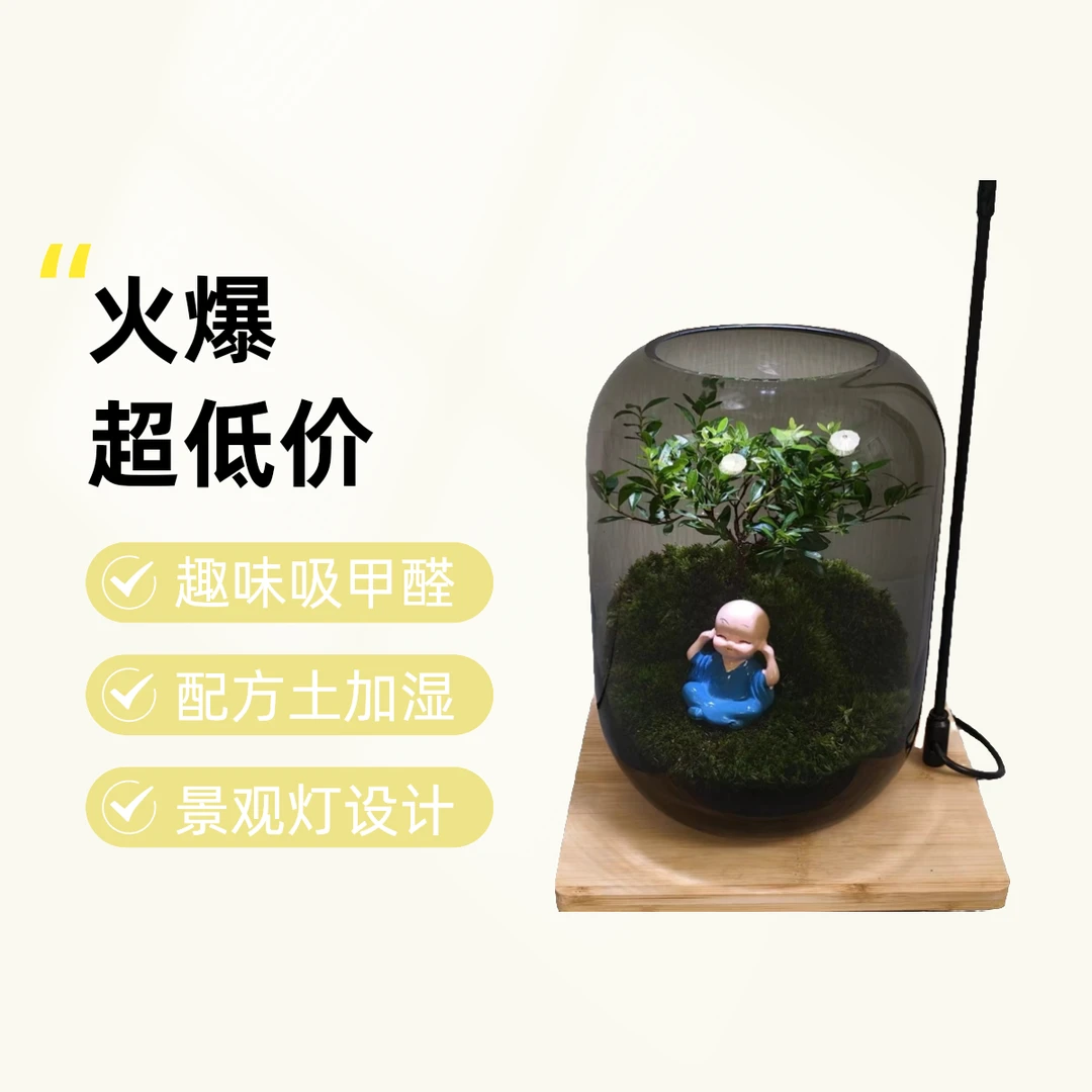 创意桌面微景观创意小和尚，带景观灯