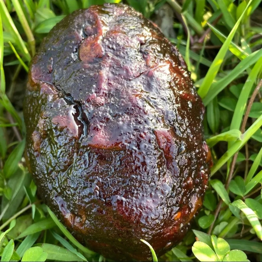 土司腊馋湖南湘西猪血丸子190g每颗（袋装）传统手工冷藏食用超大