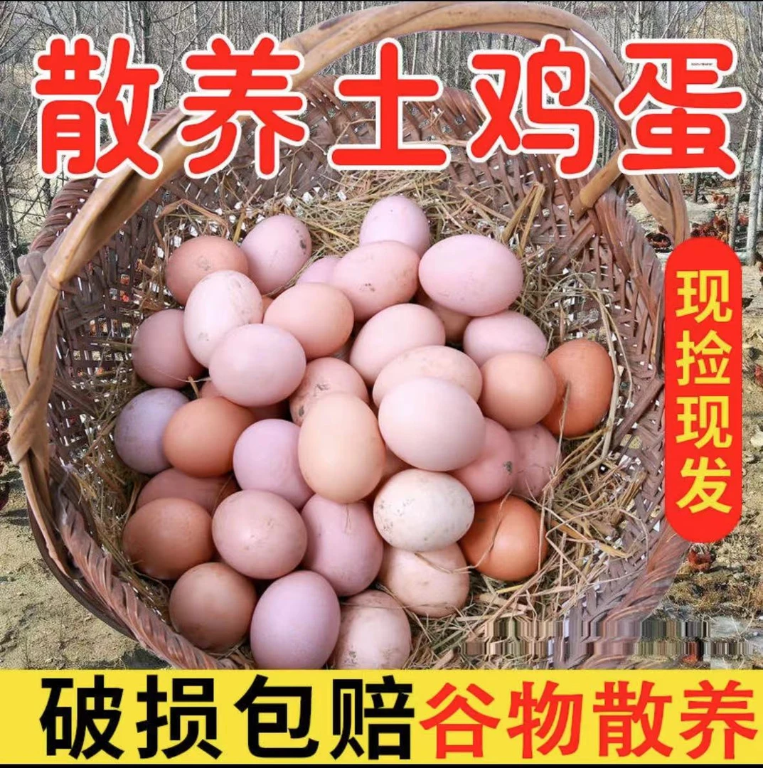 正宗农家散养鲜鸡蛋现捡现发农家土鸡蛋健康高蛋白高营养鸡蛋柴鸡