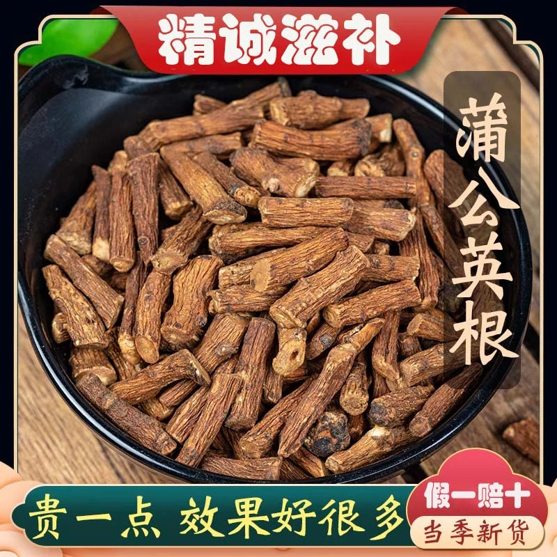 精选蒲公英根250克新货泡水 无硫熏