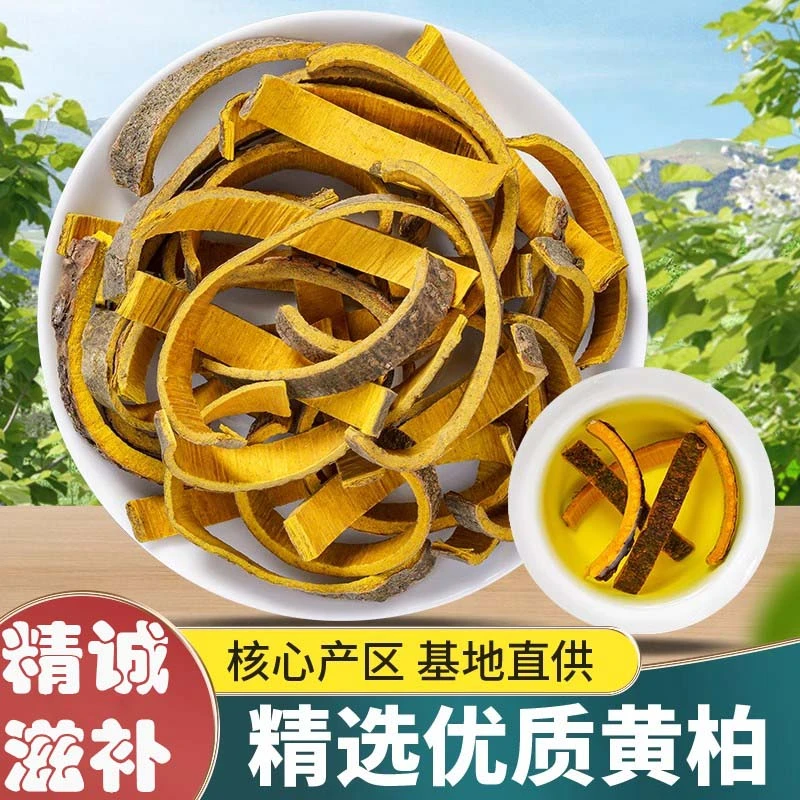 精品黄柏250克老树切片去皮干净色正 搭配苍术组合