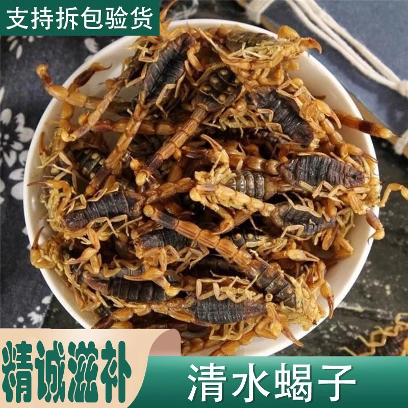 沂蒙山十足全蝎干 50克  蝎子打粉 全蝎泡酒 干净无泥无盐