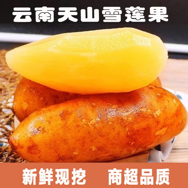 雪莲果商超品质现挖现发应当季新鲜水果黄肉心时令云南清脆甜多汁