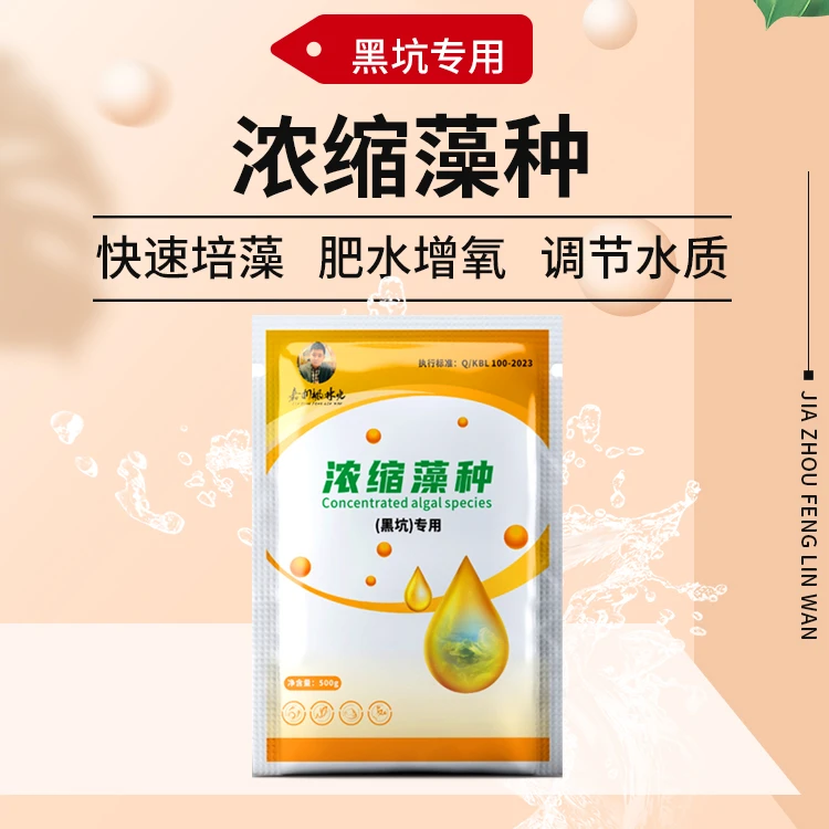 浓缩藻种复合型黑坑使用培藻产品调水系列调节有机质粉剂稀释一体