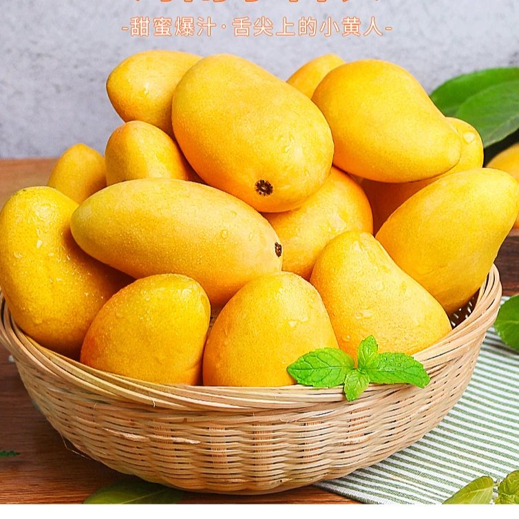 【催熟放黄食用】台农芒果5斤8斤带农产品整箱鲜嫩香甜