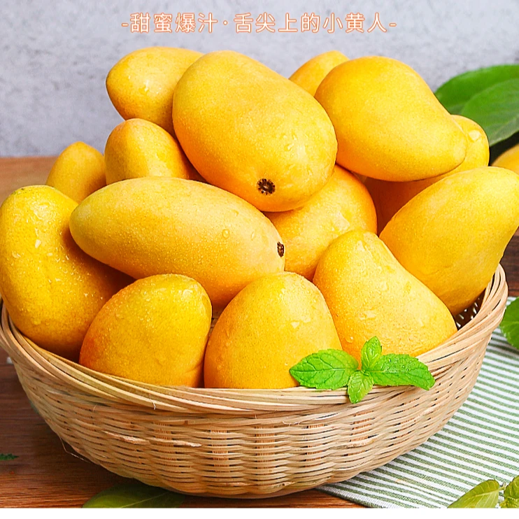 【催熟放黄食用】台农芒果3斤5斤8斤带农产品整箱鲜嫩香甜【砀联】2