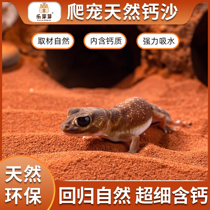乐芽芽【爬宠垫材】爬宠钙沙鬃狮蜥守宫蝎子陆龟蛇饲养用品沙漠造景