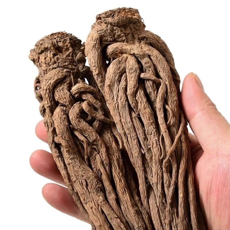 甘肃岷县当归整条煲汤佳品搭配黄芪党参滋补食材