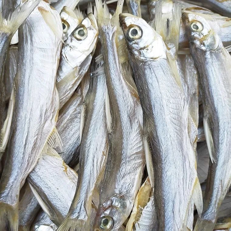 江西特产风干大翘嘴鱼小鱼仔餐条鱼淡水鱼白条鱼刁子小白条鱼