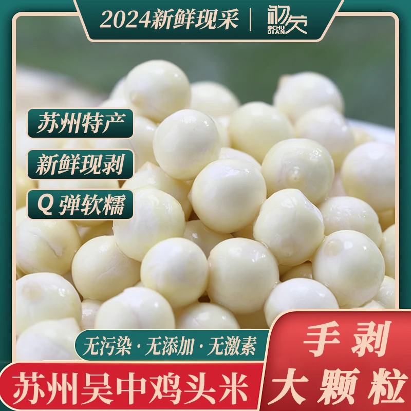 初芡手剥苏州新鲜鸡头米正宗芡实吴中现摘特大颗粒益脾胃1斤2斤