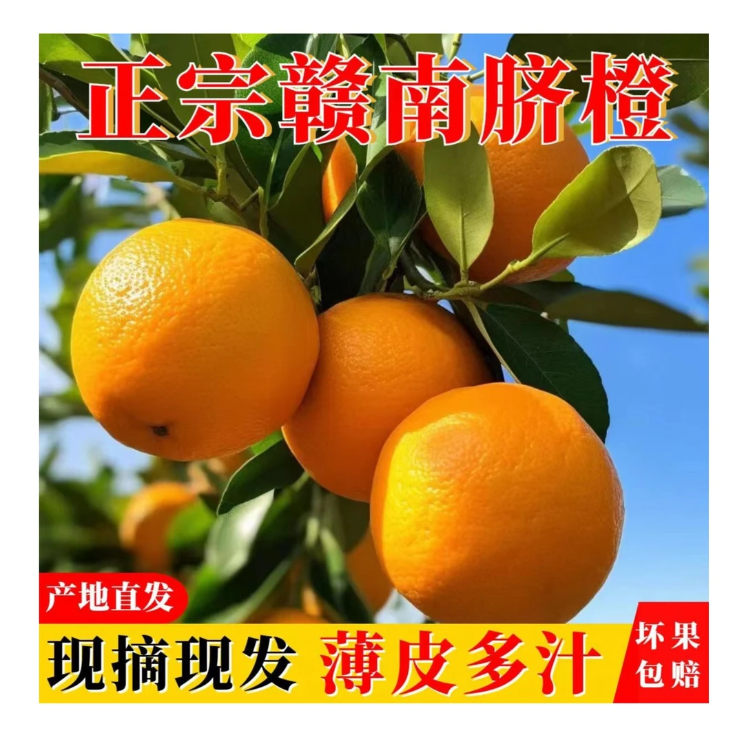 【办总臻选】赣南脐橙20斤中果大果多汁香甜皮薄酸甜果园发货
