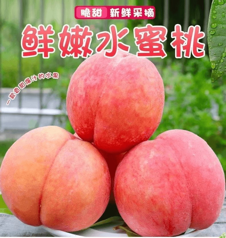 山西黄河口【水蜜桃】硬吃脆甜爽口，软吃软糯香甜