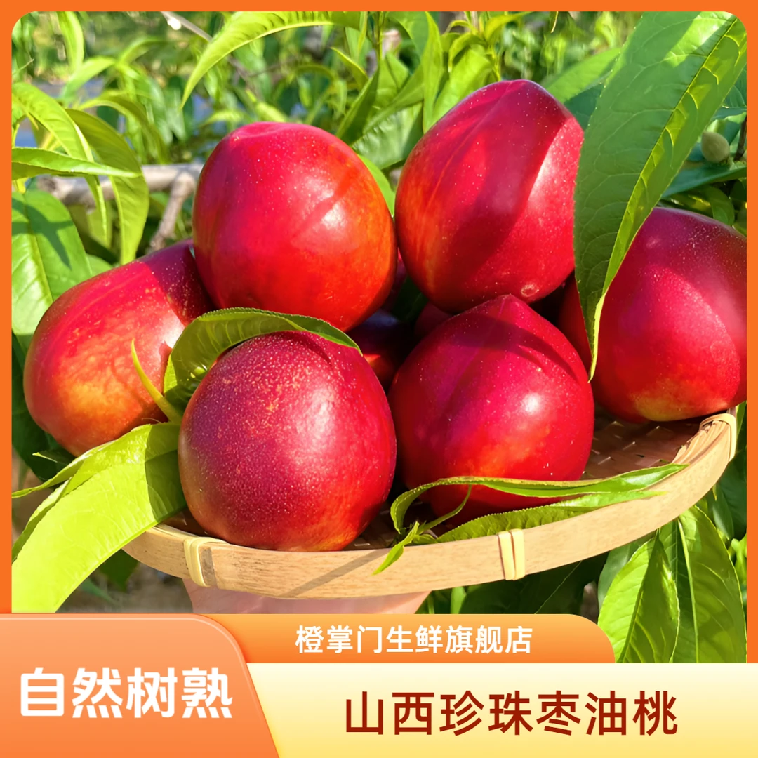 露天头茬【珍珠枣油桃】黄肉油桃，新鲜采摘脆甜多汁带箱5斤
