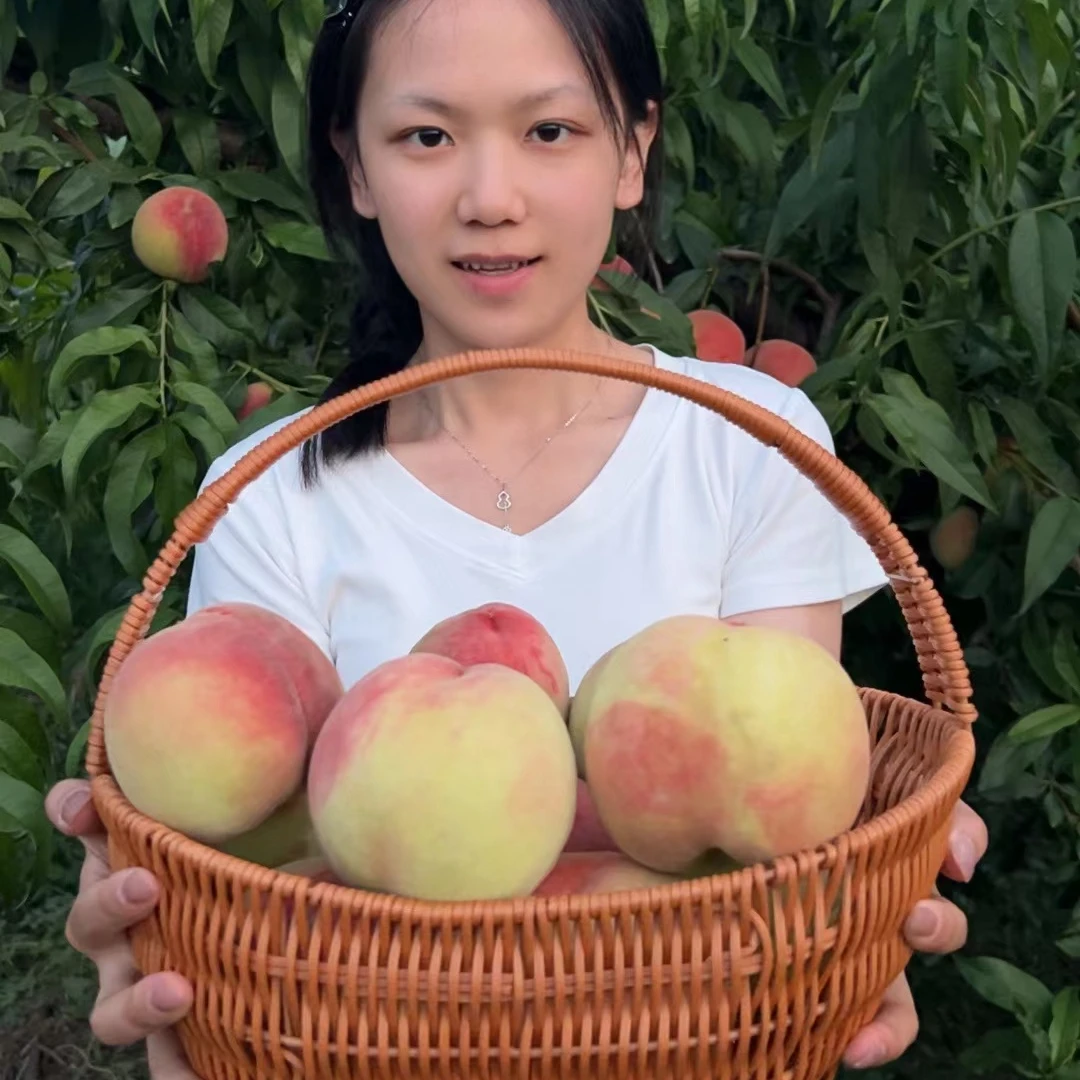 【脆甜多汁】正宗金秋红蜜桃 脆桃 新鲜采摘 产地直发重4.5斤