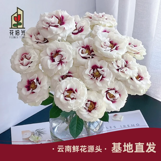 【德芮尔】【5度以下拍保温棉】桥边之约单头玫瑰