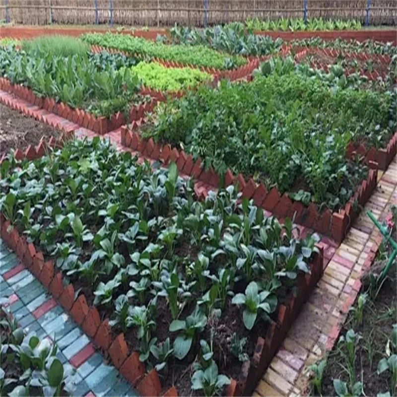 【现场称重】青岛即墨本地农户自种自晒果蔬干货现场收货以实物为准