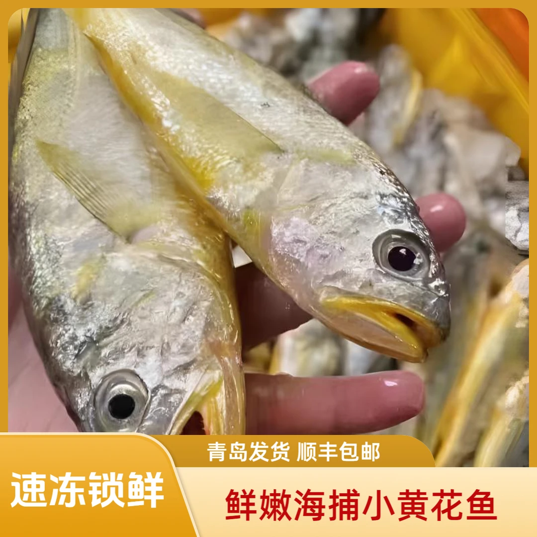 新鲜野生小黄花鱼3斤（每斤7-8条）速冻锁鲜煎炸红烧青岛顺丰发货