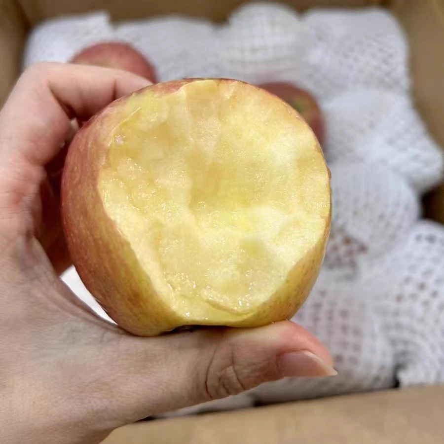 5斤装富士苹果好吃脆甜多汁，自然生长的苹果