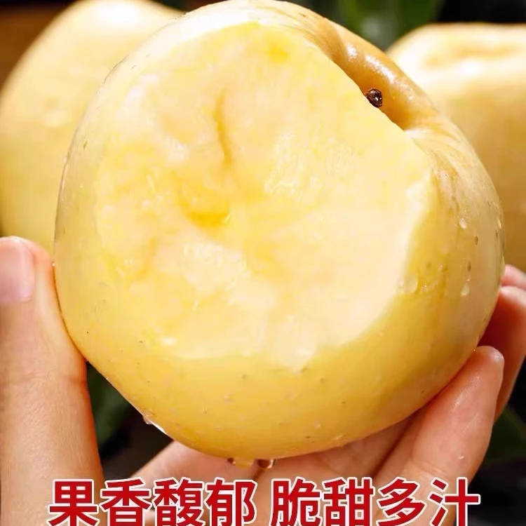 烟台维纳斯苹果纯甜无酸果香浓郁酥脆原产地好吃低价多汁新鲜高山