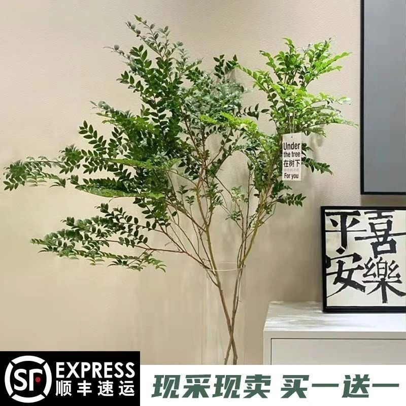 美男树甄选平替吊钟马醉木网红水培鲜切枝客厅办公桌开花春天绿植