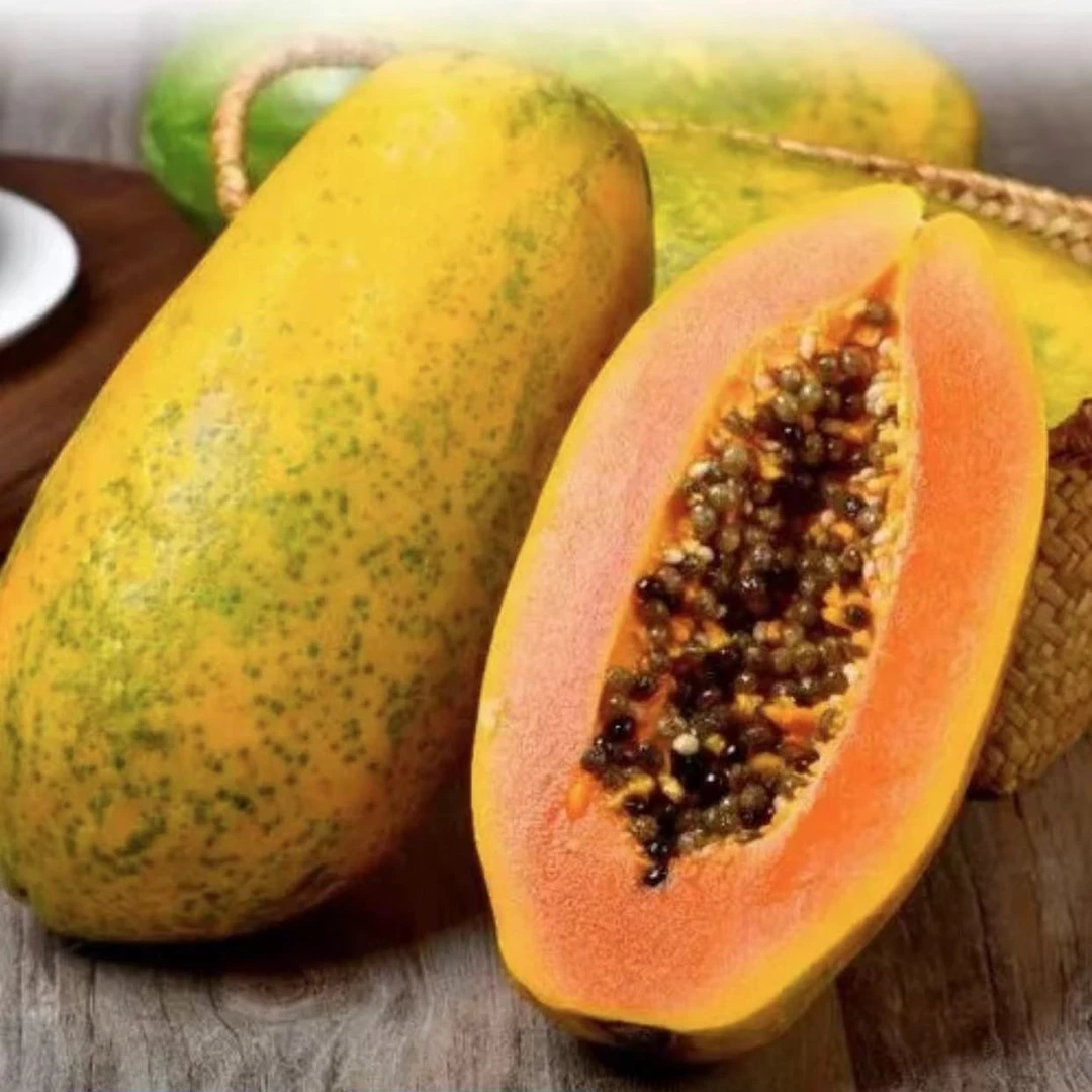 精品木瓜一个约1.4斤