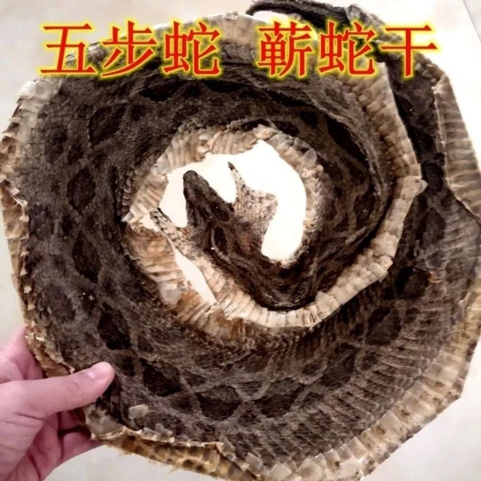 正品蕲蛇 五步蛇干 八步蛇 蕲蛇干泡酒料 整只蕲蛇 整只五步蛇干