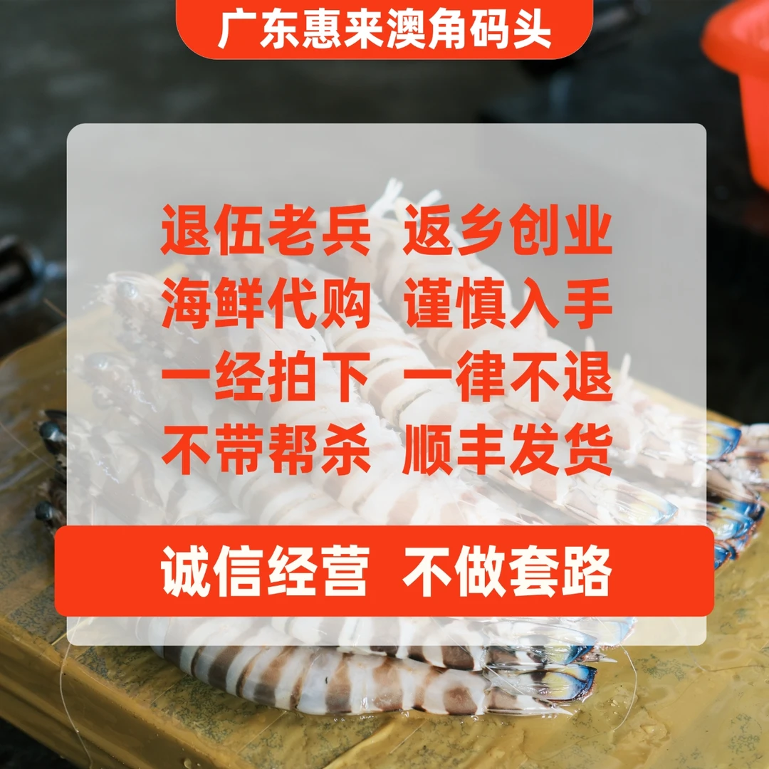 惠来澳角码头代购沙卢虾五斤，不帮杀，拍下不退，谨慎入手，