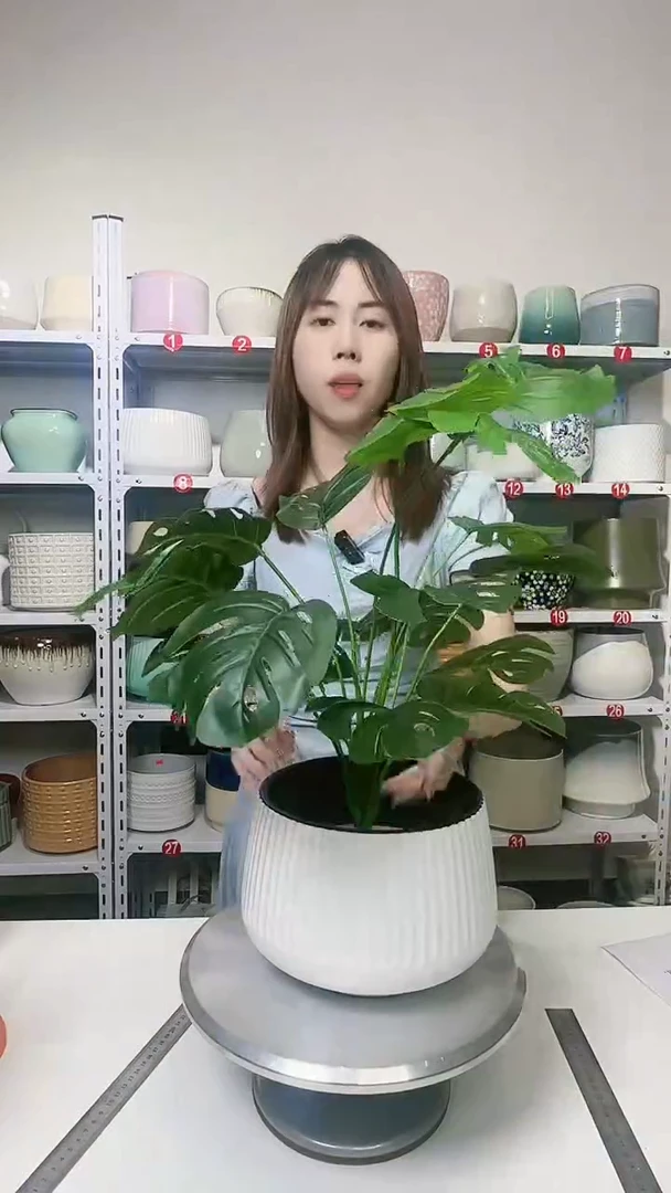 【闪购商品】陶瓷20CM以下黑口竖纹白19*16（瑕疵）
