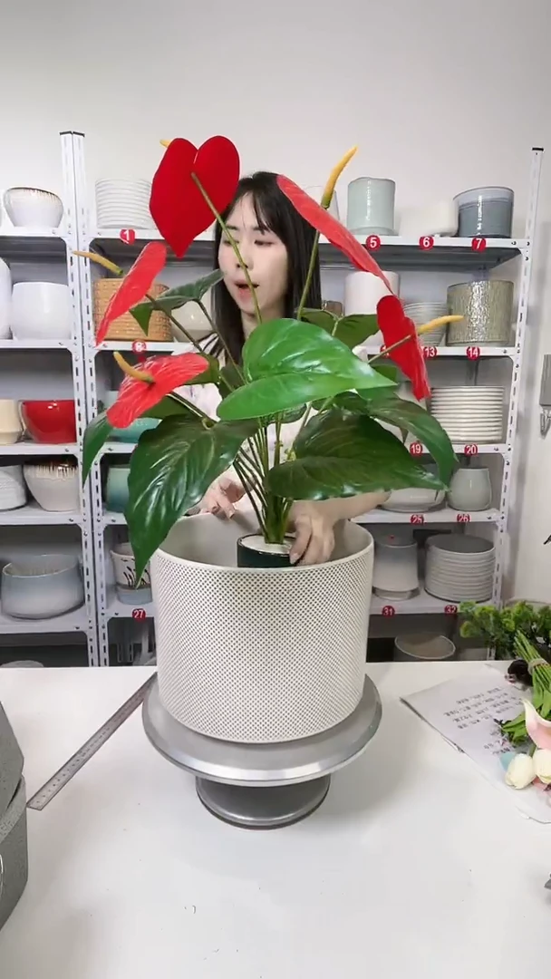 【闪购商品】陶瓷20CM（含）-50CM（不含）罗马波点灰大号27*21