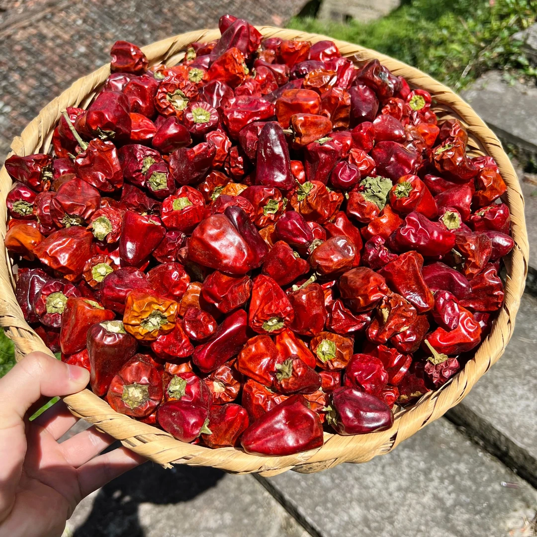 高山  农家  灯笼椒干