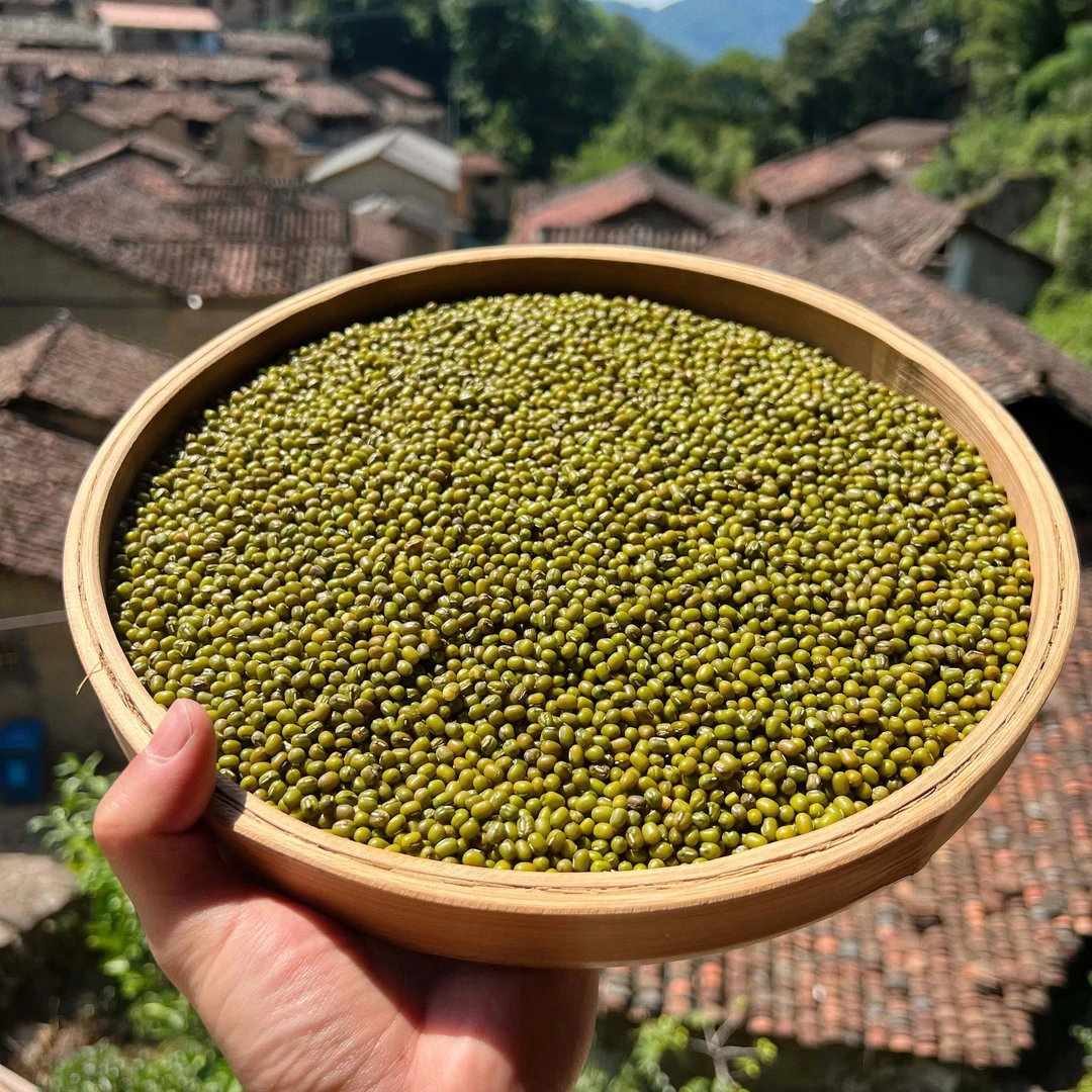 高山  农家  绿豆