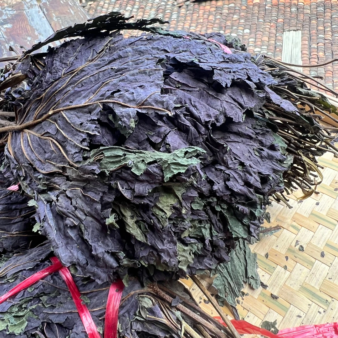 高山  农家  紫苏叶