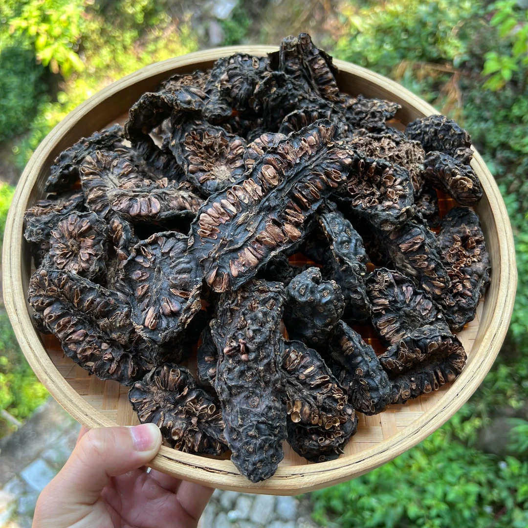 高山  农家  诺丽果