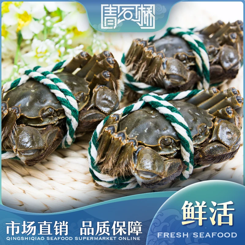 鲜活江苏兴化大闸蟹 公蟹约3两1只