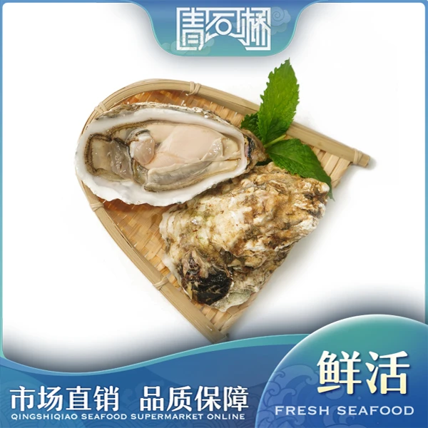 鲜活生蚝2-3两