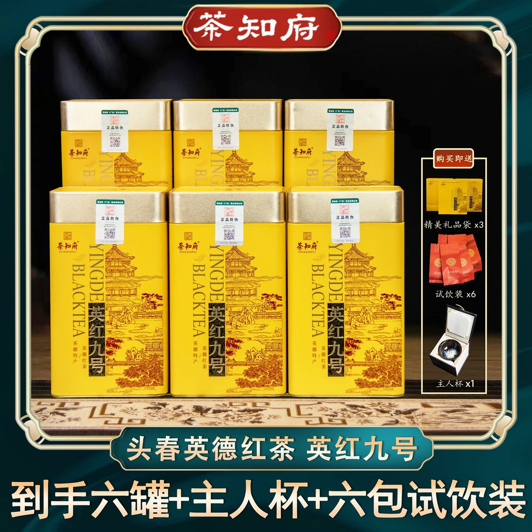 茶知府2025当季正宗广东英德红茶叶英红九号罐装源头直销新茶9号