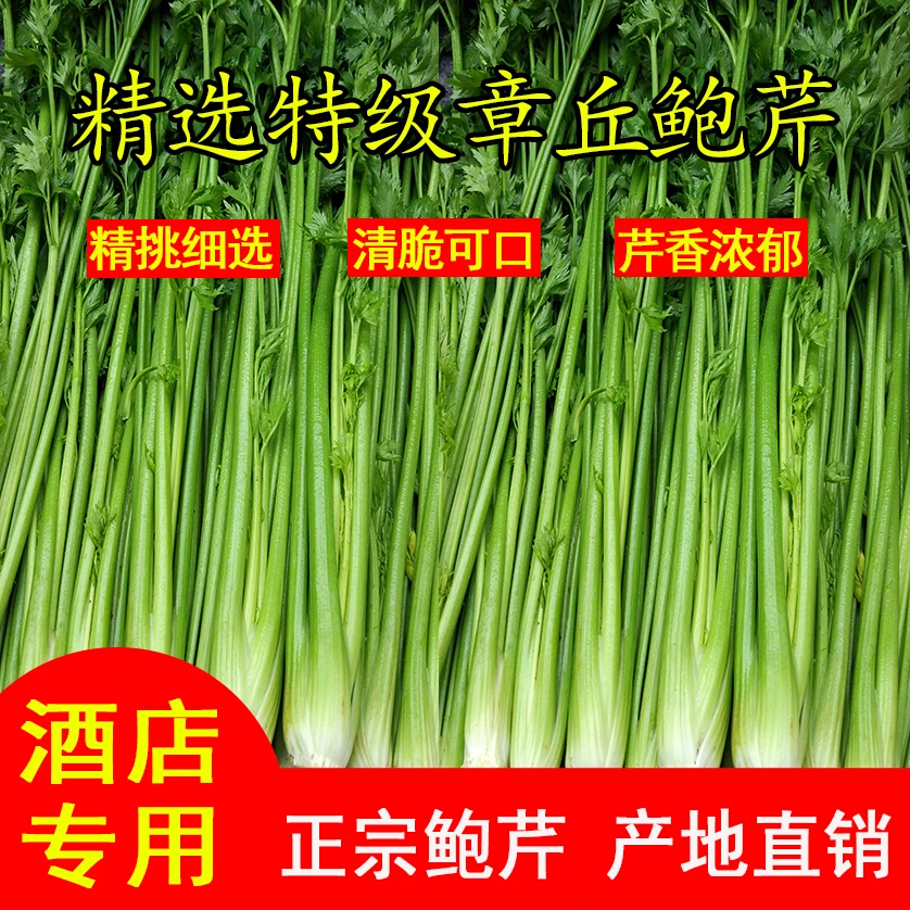 龙山味道甄选新鲜章丘鲍芹3斤特级山东特产芹菜芽芯食用产地直销