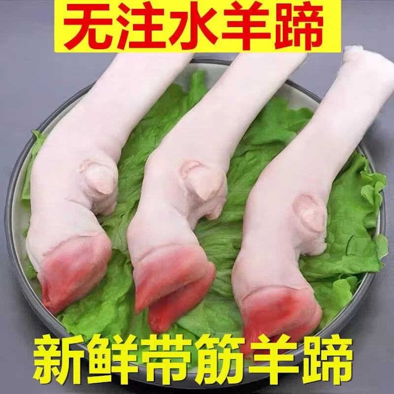 新鲜现杀羊蹄子冷冻生羊蹄带筋羊脚散养羊爪羊肉2-10斤
